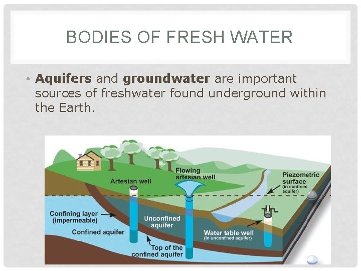 BODIES OF FRESH WATER • Aquifers and groundwater are important sources of freshwater found