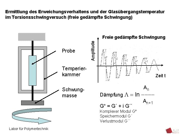 Ermittlung des Erweichungsverhaltens und der Glasübergangstemperatur im Torsionsschwingversuch (freie gedämpfte Schwingung) Probe Amplitude Freie