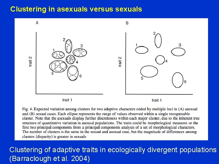 Clustering in asexuals versus sexuals Clustering of adaptive traits in ecologically divergent populations (Barraclough