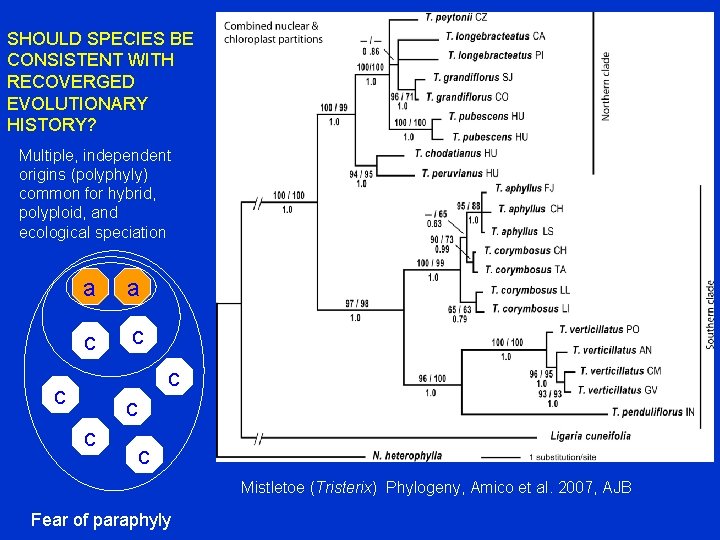 SHOULD SPECIES BE CONSISTENT WITH RECOVERGED EVOLUTIONARY HISTORY? Multiple, independent origins (polyphyly) common for