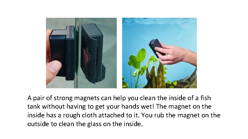 A pair of strong magnets can help you clean the inside of a fish