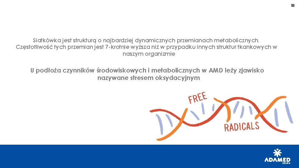 18 Siatkówka jest strukturą o najbardziej dynamicznych przemianach metabolicznych. Częstotliwość tych przemian jest 7