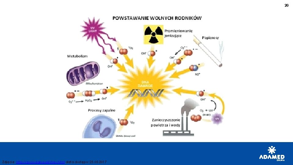20 Zdjęcie: http: //zyciodajna. pl/stres. html data dostępu: 25. 05. 2017 