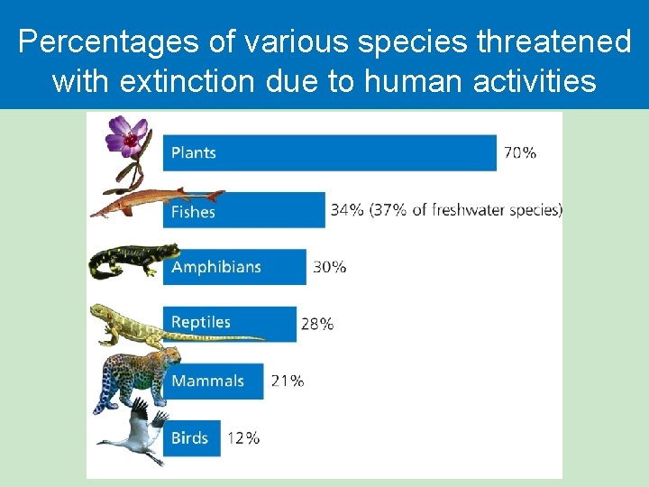Percentages of various species threatened with extinction due to human activities 