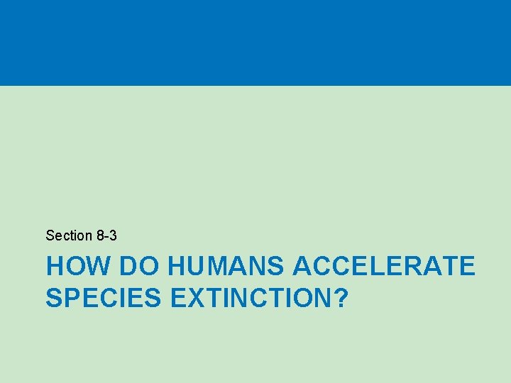 Section 8 -3 HOW DO HUMANS ACCELERATE SPECIES EXTINCTION? 