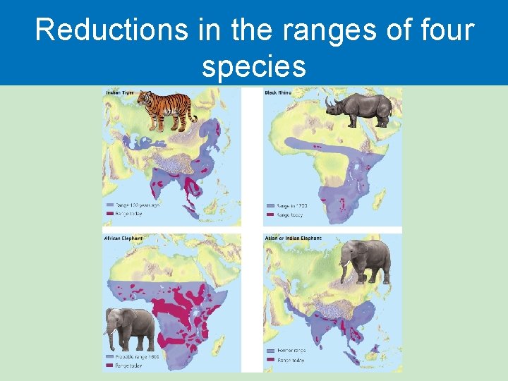 Reductions in the ranges of four species 