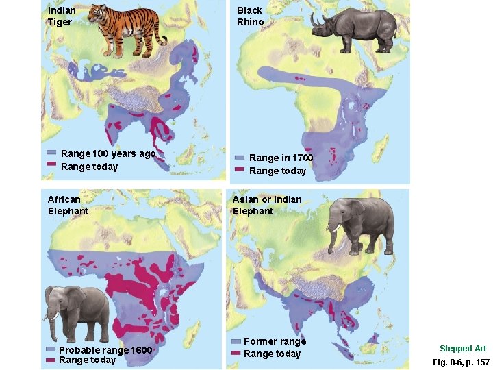 Indian Tiger Range 100 years ago Range today African Elephant Probable range 1600 Range