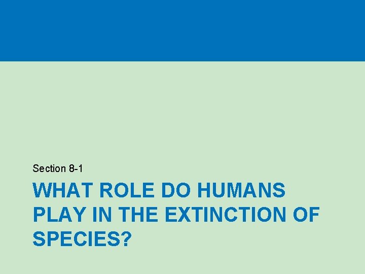 Section 8 -1 WHAT ROLE DO HUMANS PLAY IN THE EXTINCTION OF SPECIES? 