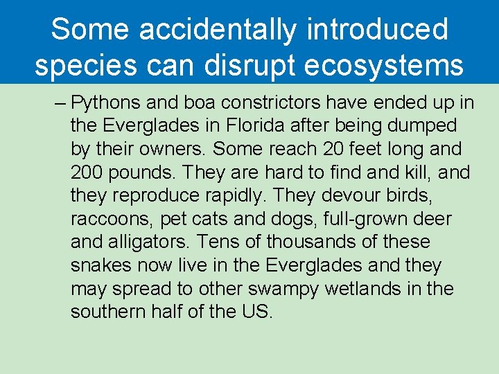 Some accidentally introduced species can disrupt ecosystems – Pythons and boa constrictors have ended