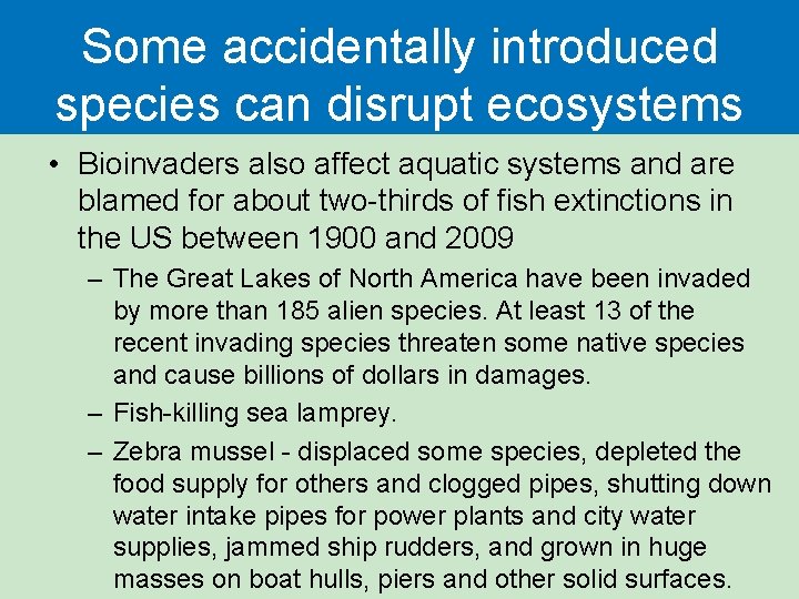 Some accidentally introduced species can disrupt ecosystems • Bioinvaders also affect aquatic systems and