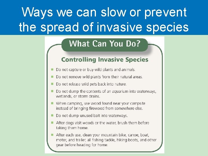 Ways we can slow or prevent the spread of invasive species 