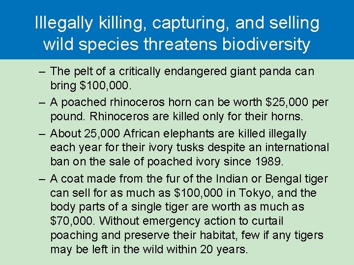 Illegally killing, capturing, and selling wild species threatens biodiversity – The pelt of a
