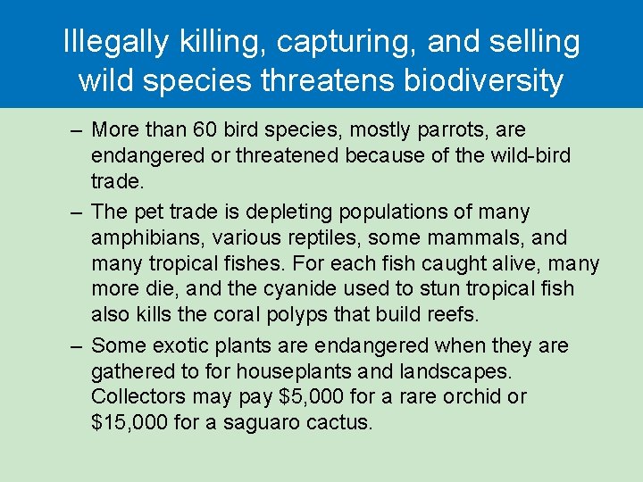 Illegally killing, capturing, and selling wild species threatens biodiversity – More than 60 bird