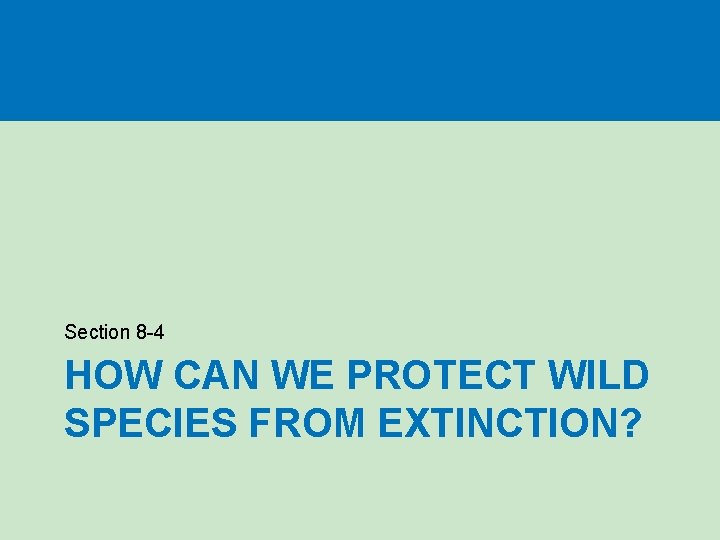 Section 8 -4 HOW CAN WE PROTECT WILD SPECIES FROM EXTINCTION? 