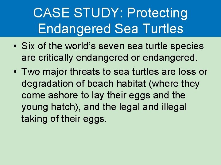 CASE STUDY: Protecting Endangered Sea Turtles • Six of the world’s seven sea turtle