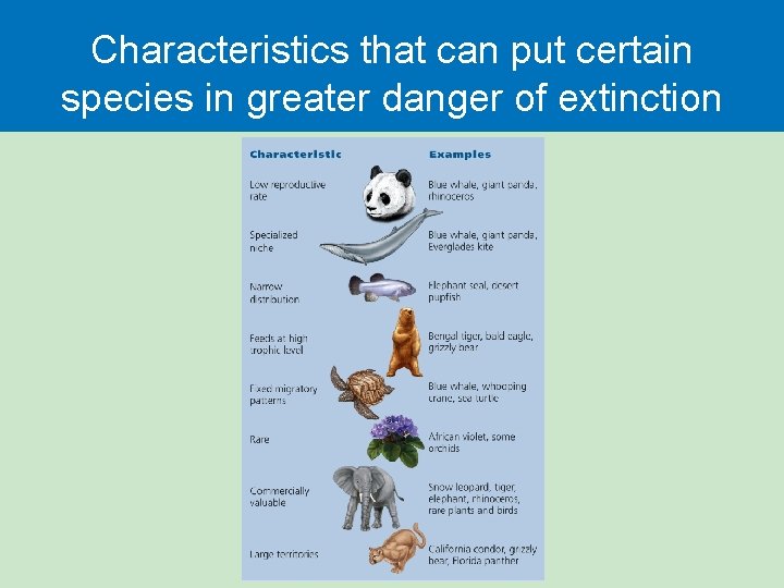 Characteristics that can put certain species in greater danger of extinction 