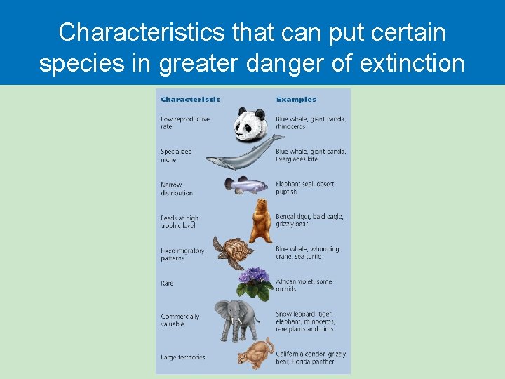 Characteristics that can put certain species in greater danger of extinction 