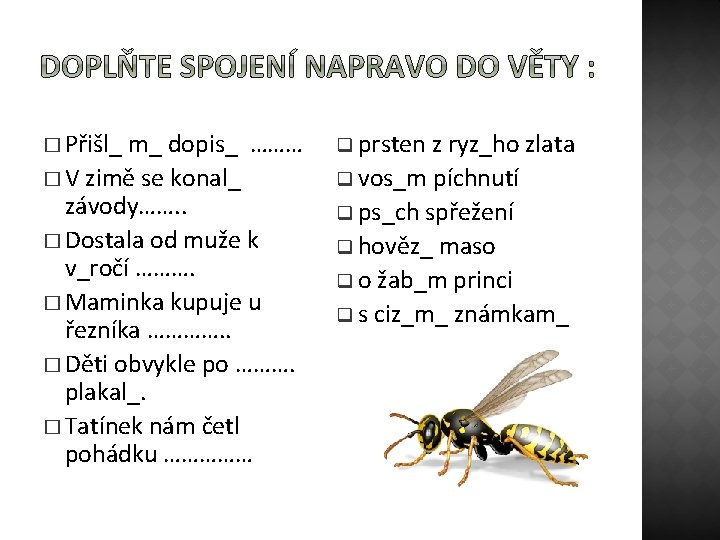 � Přišl_ m_ dopis_ ……… � V zimě se konal_ závody……. . � Dostala