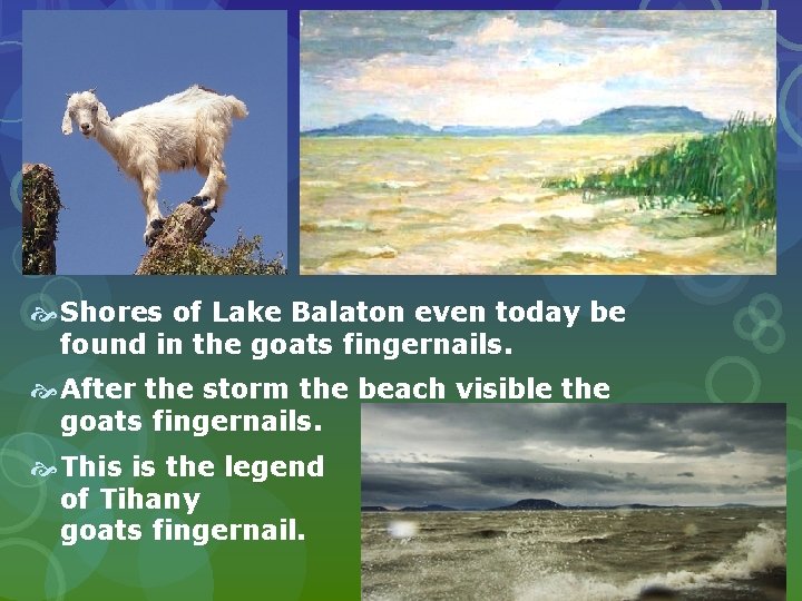  Shores of Lake Balaton even today be found in the goats fingernails. After