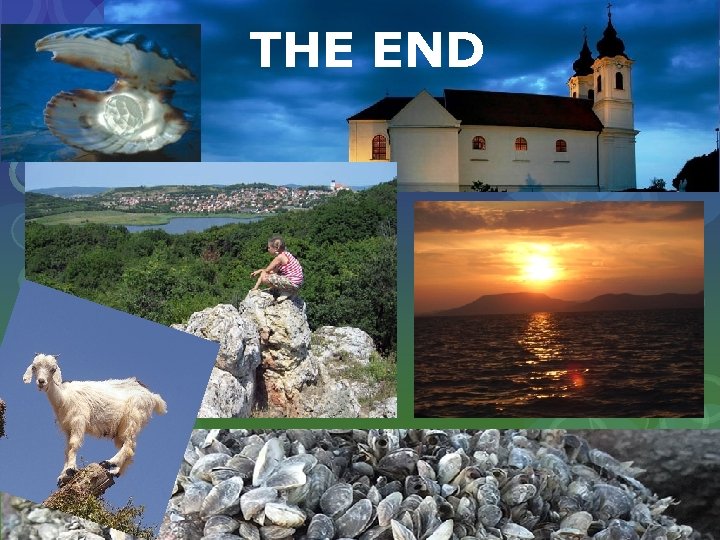 THE END 