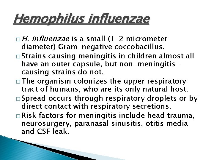 Hemophilus influenzae � H. influenzae is a small (1 -2 micrometer diameter) Gram-negative coccobacillus.