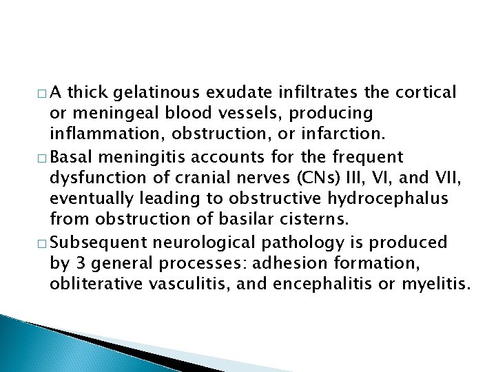 �A thick gelatinous exudate infiltrates the cortical or meningeal blood vessels, producing inflammation, obstruction,