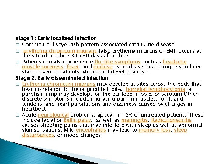 stage 1: Early localized infection � Common bullseye rash pattern associated with Lyme disease