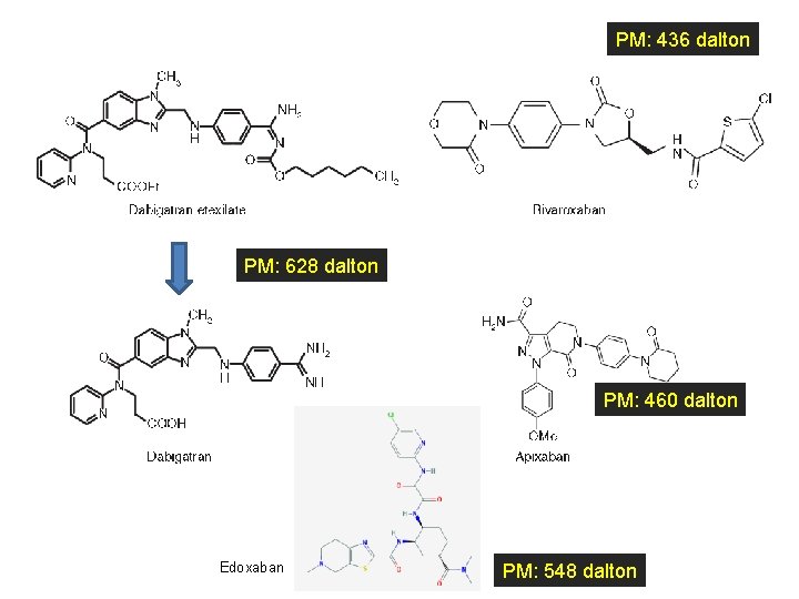 PM: 436 dalton PM: 628 dalton PM: 460 dalton Edoxaban PM: 548 dalton 
