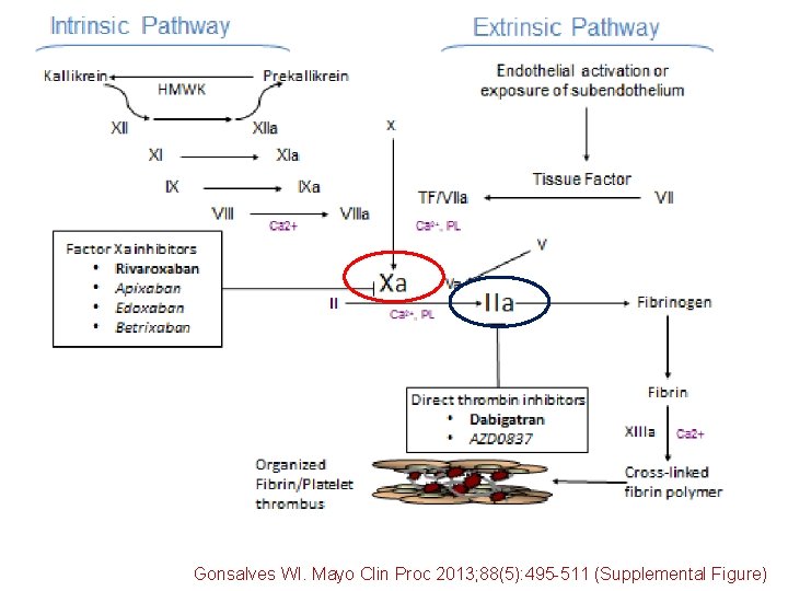 Gonsalves WI. Mayo Clin Proc 2013; 88(5): 495 -511 (Supplemental Figure) 