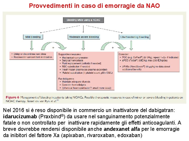 Provvedimenti in caso di emorragie da NAO Nel 2016 si è reso disponibile in