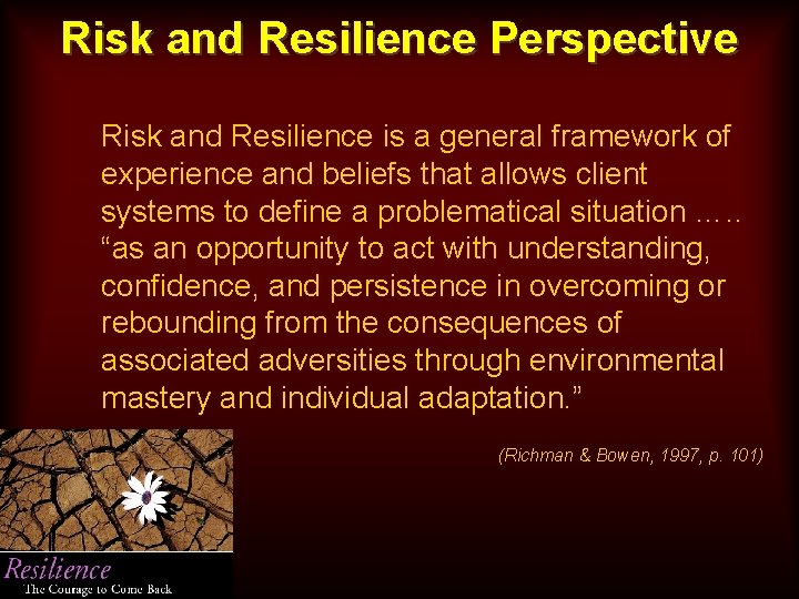 Risk and Resilience Perspective Risk and Resilience is a general framework of experience and