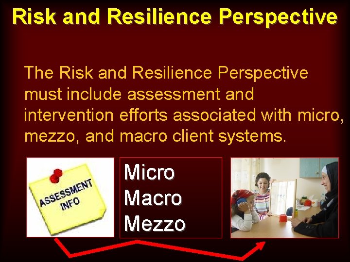 Risk and Resilience Perspective The Risk and Resilience Perspective must include assessment and intervention