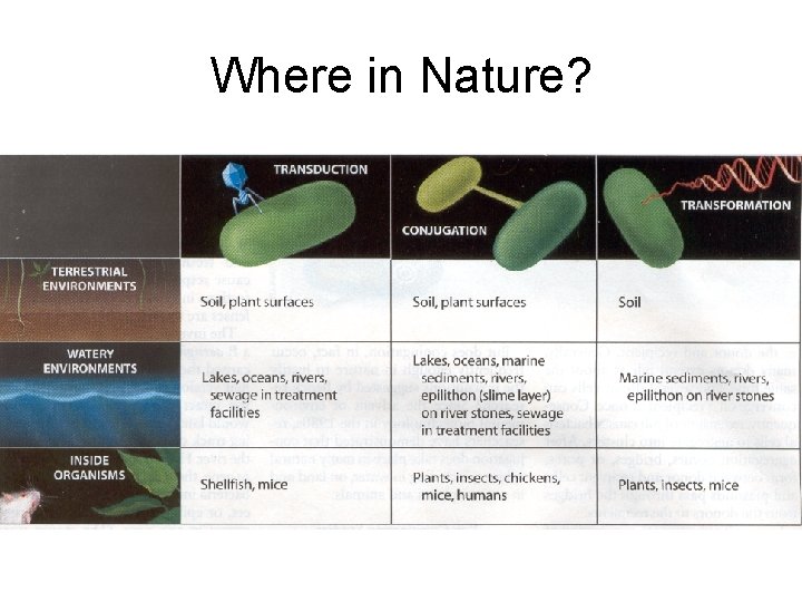 Where in Nature? 