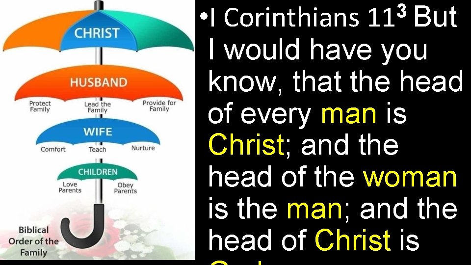 3 11 But • I Corinthians I would have you know, that the head