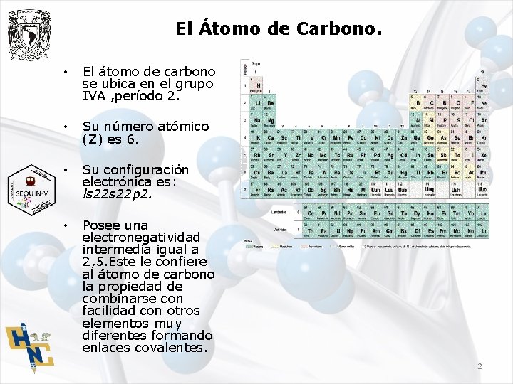 El Átomo de Carbono. • El átomo de carbono se ubica en el grupo