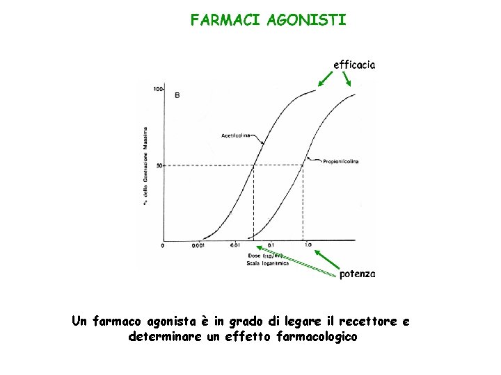 Un farmaco agonista è in grado di legare il recettore e determinare un effetto