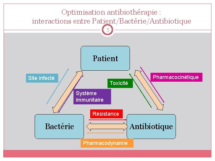 Optimisation antibiothérapie : interactions entre Patient/Bactérie/Antibiotique 5 Patient Site infecté Toxicité Pharmacocinétique Système immunitaire