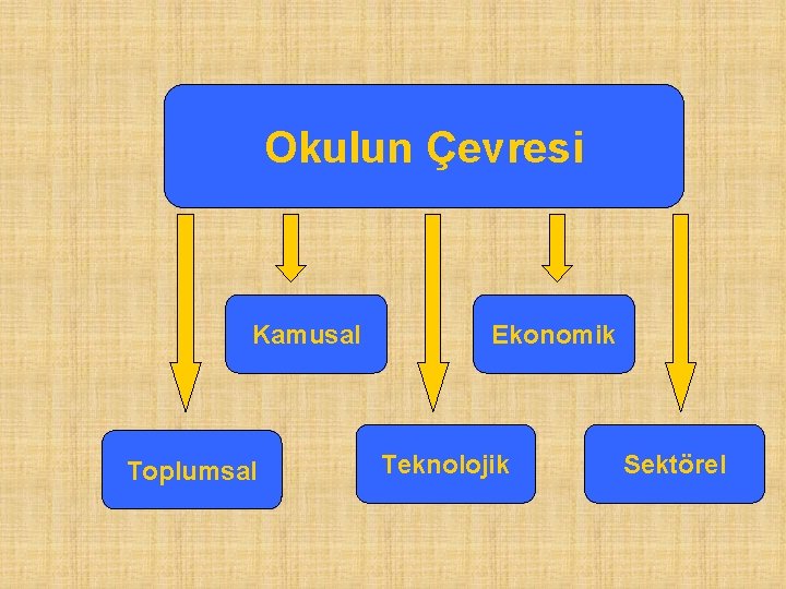 Okulun Çevresi Kamusal Toplumsal Ekonomik Teknolojik Sektörel 
