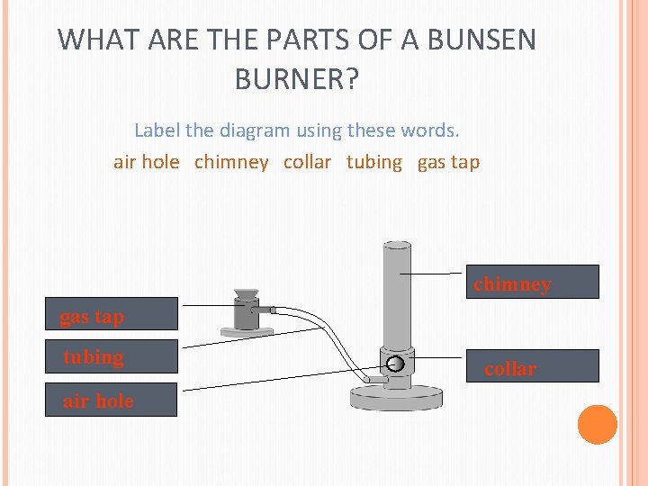 WHAT ARE THE PARTS OF A BUNSEN BURNER? Label the diagram using these words.