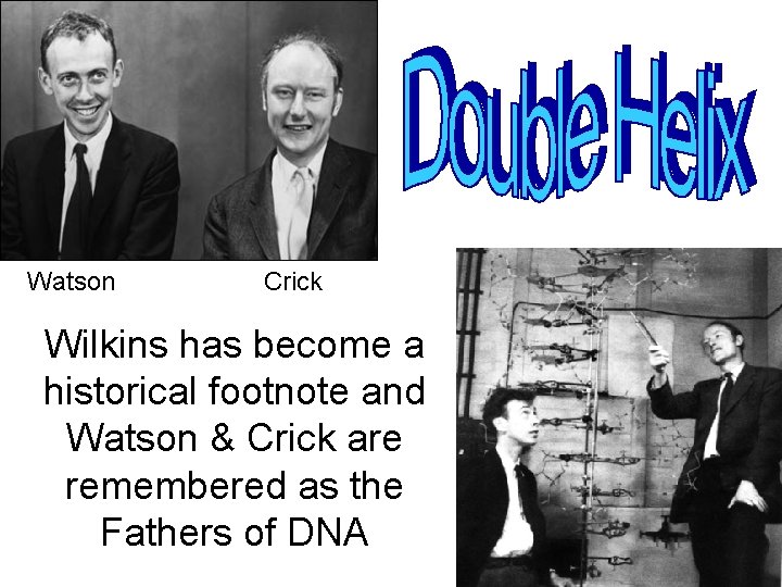 Watson Crick Wilkins has become a historical footnote and Watson & Crick are remembered