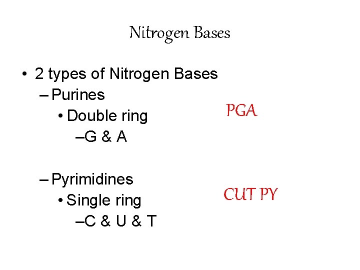 Nitrogen Bases • 2 types of Nitrogen Bases – Purines • Double ring –G