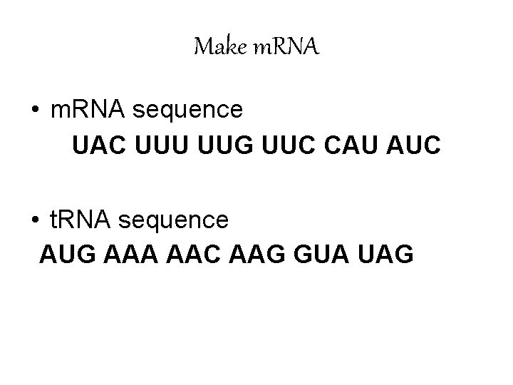 Make m. RNA • m. RNA sequence UAC UUU UUG UUC CAU AUC •