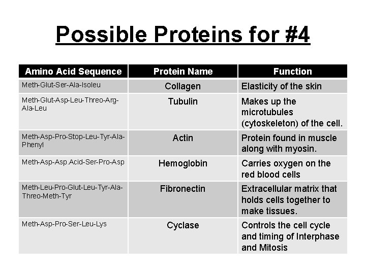 Possible Proteins for #4 Amino Acid Sequence Meth-Glut-Ser-Ala-Isoleu Meth-Glut-Asp-Leu-Threo-Arg. Ala-Leu Protein Name Collagen Tubulin