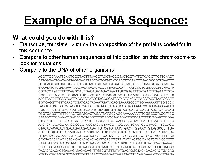 Example of a DNA Sequence: What could you do with this? • Transcribe, translate