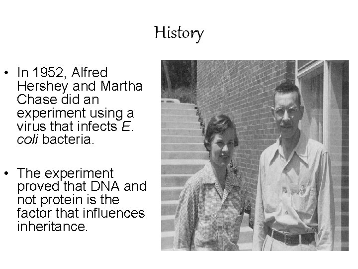 History • In 1952, Alfred Hershey and Martha Chase did an experiment using a