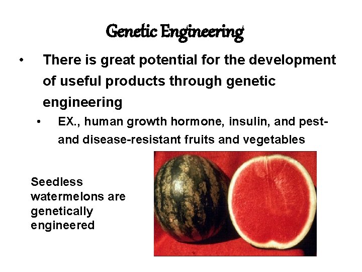 Genetic Engineering • There is great potential for the development of useful products through
