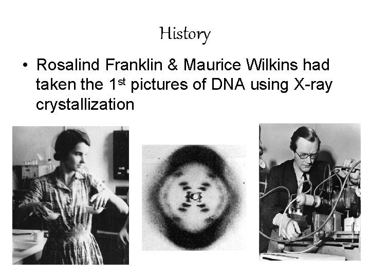 History • Rosalind Franklin & Maurice Wilkins had taken the 1 st pictures of