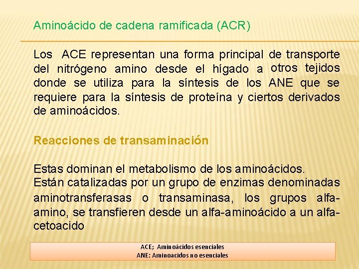 Aminoácido de cadena ramificada (ACR) Los ACE representan una forma principal de transporte del