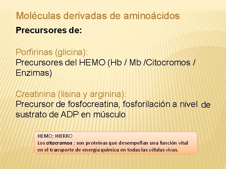 Moléculas derivadas de aminoácidos Precursores de: Porfirinas (glicina): Precursores del HEMO (Hb / Mb