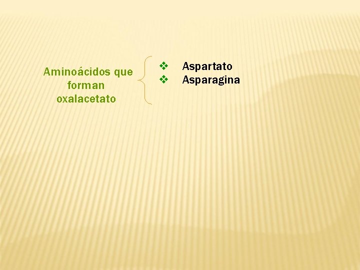 Aminoácidos que forman oxalacetato Aspartato Asparagina 